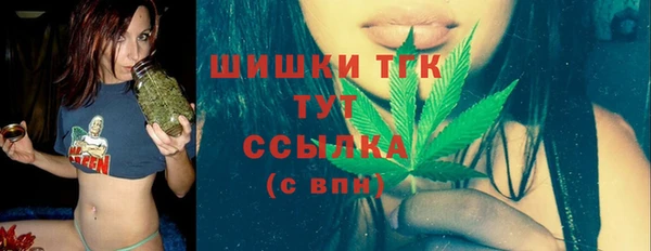 трава Бородино