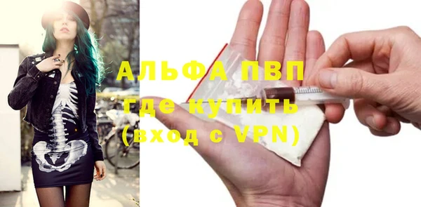 трава Бородино