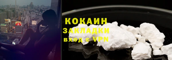 трава Бородино