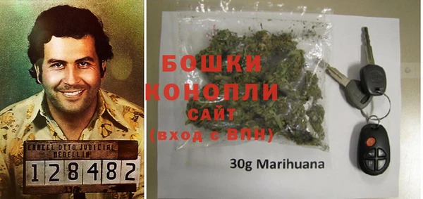 трава Бородино
