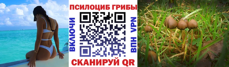 Галлюциногенные грибы MAGIC MUSHROOMS  это формула  Магнитогорск 